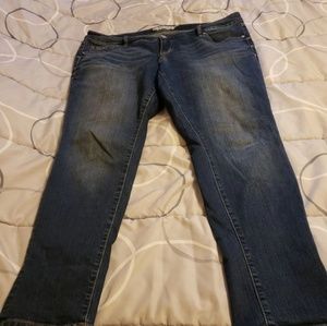 Torrid jeans 14s